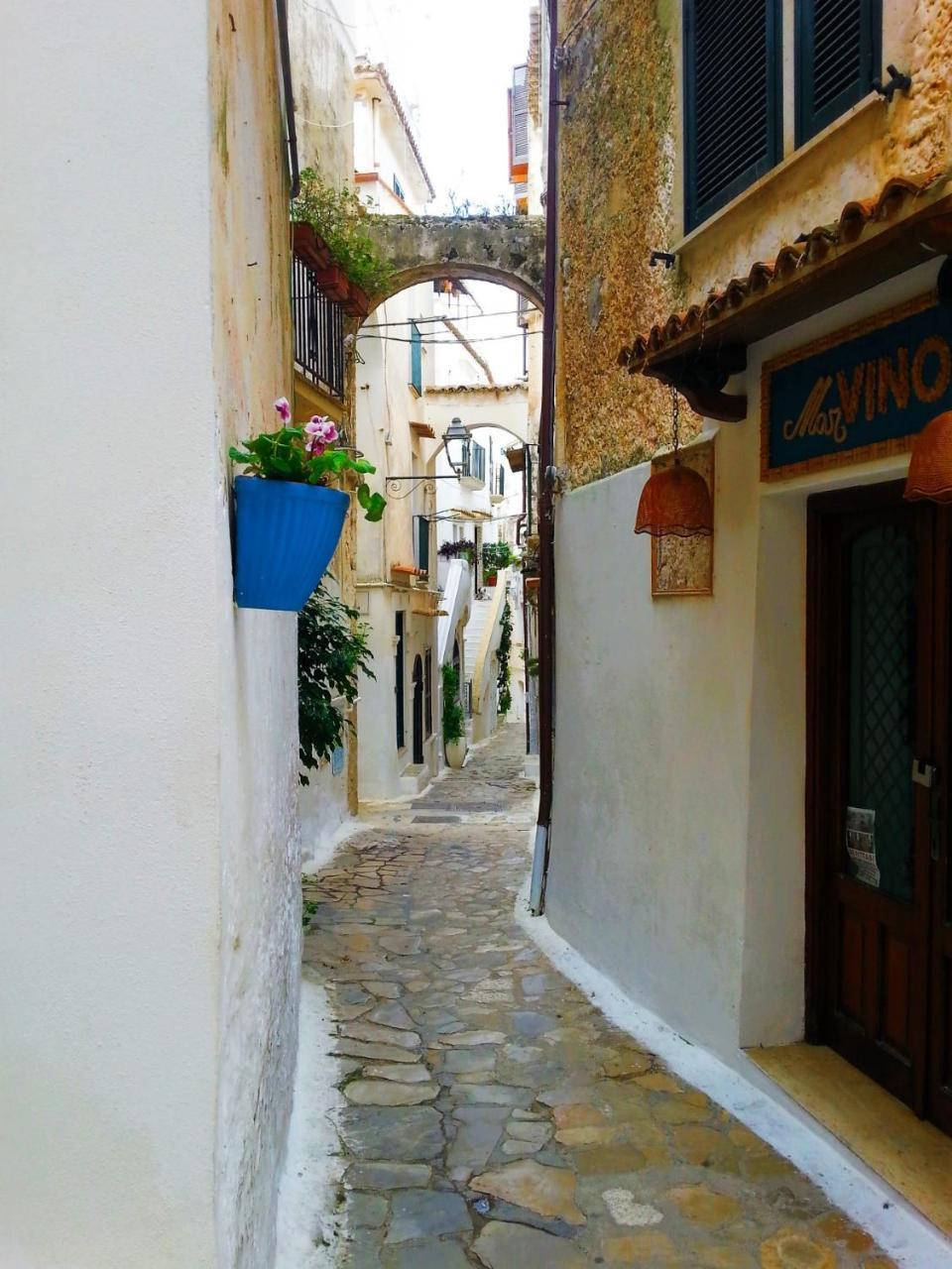 Casa Ninfa Sperlongaresort Kültér fotó